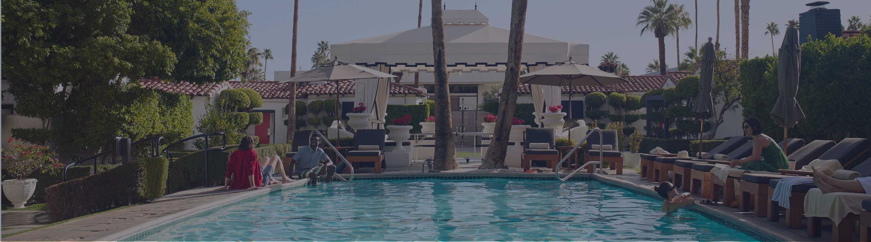 A large pool surrounded by palm trees