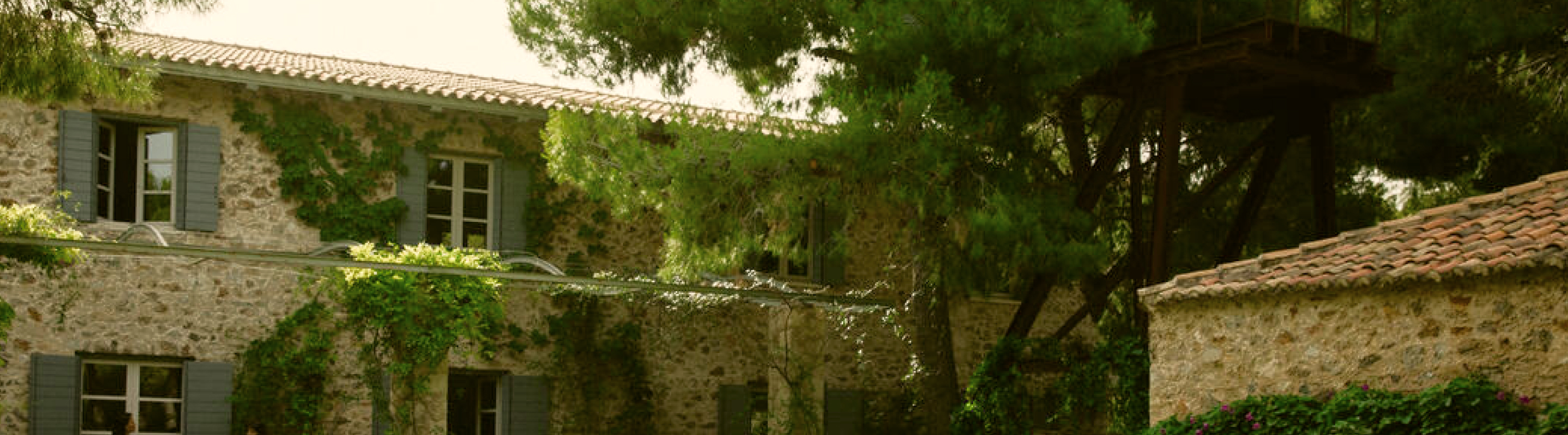 Exterior view of a rustic stone villa with green shutters, climbing vines, and tall trees casting shade across the building.