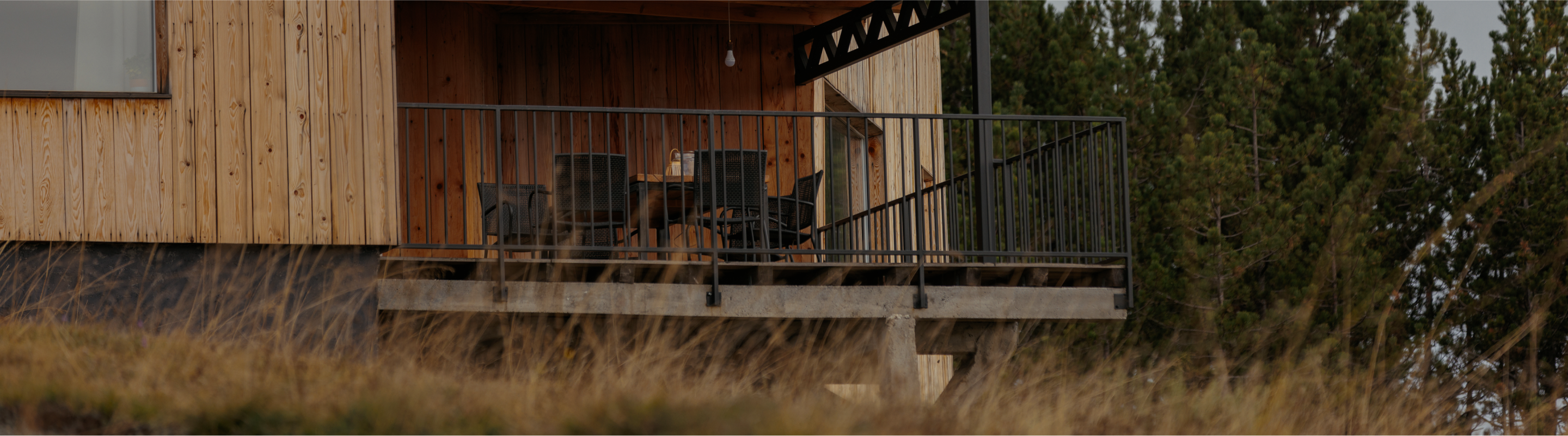 A rustic wood cabin with a covered porch overlooks tall grass and pine trees in a serene forest setting.