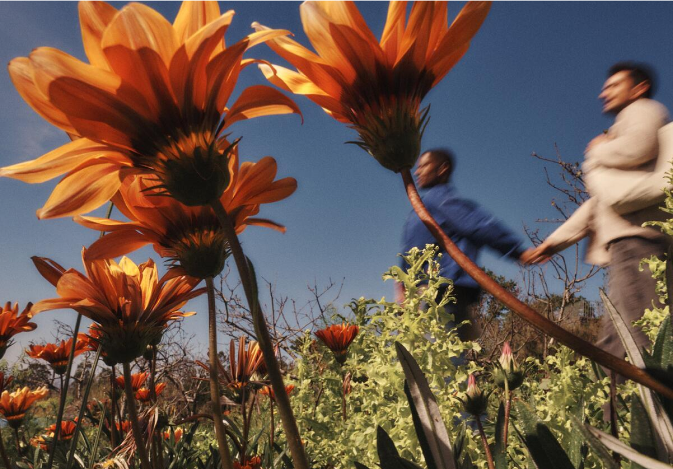People holding hands and walking past large orange flowers with a blue sky in the background