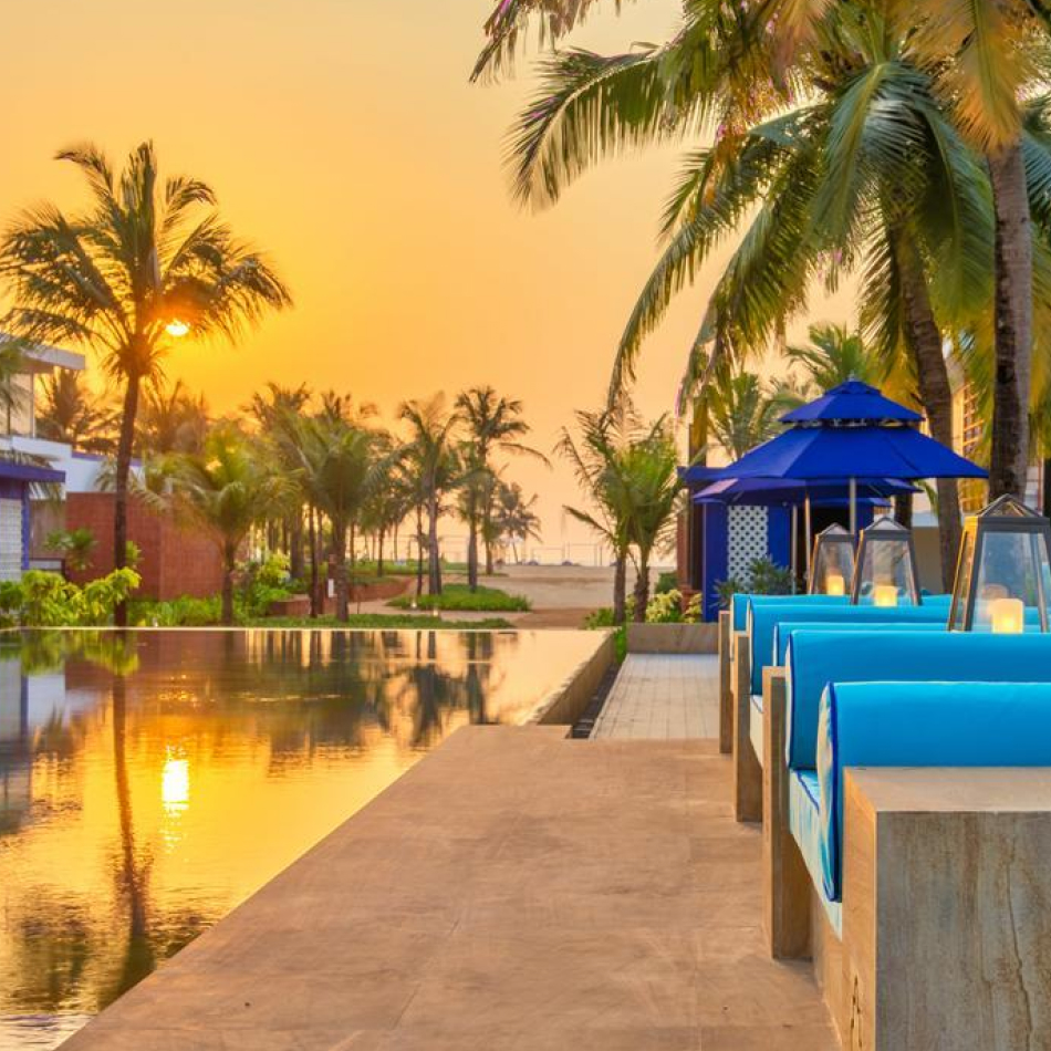  Tranquil resort dock by the water, lined with palm trees and bathed in golden sunset light.